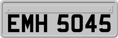 EMH5045