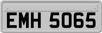 EMH5065