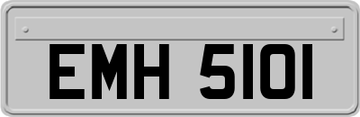 EMH5101