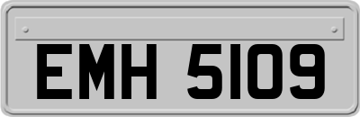 EMH5109
