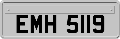EMH5119