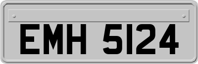 EMH5124