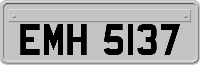 EMH5137