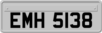 EMH5138
