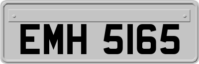 EMH5165