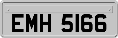 EMH5166