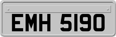 EMH5190