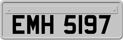 EMH5197