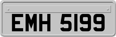 EMH5199