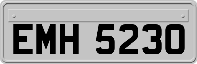 EMH5230