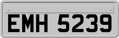 EMH5239