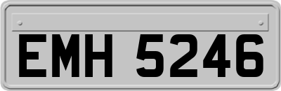 EMH5246