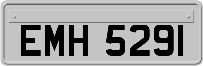 EMH5291