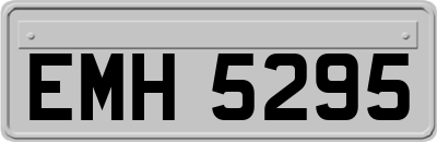 EMH5295