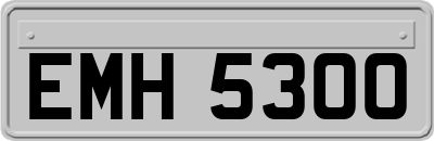 EMH5300