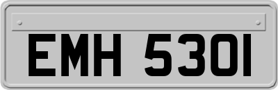 EMH5301