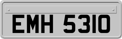 EMH5310