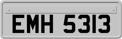 EMH5313