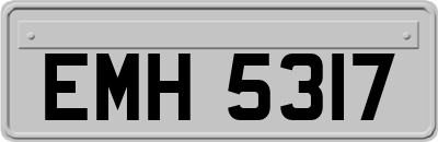 EMH5317