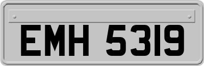 EMH5319