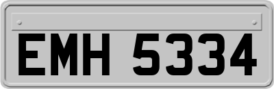 EMH5334