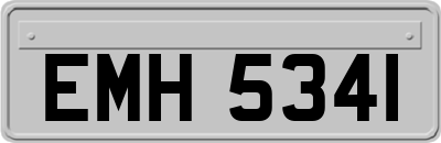 EMH5341
