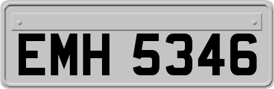 EMH5346