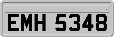EMH5348