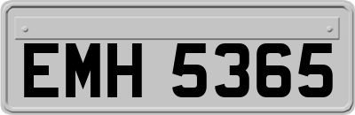 EMH5365