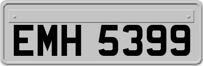 EMH5399