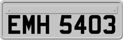 EMH5403