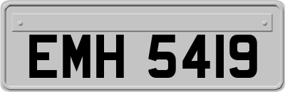 EMH5419