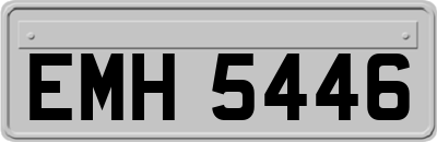 EMH5446