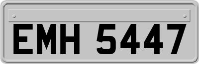 EMH5447