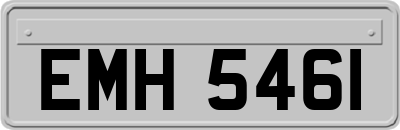 EMH5461