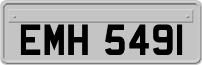EMH5491