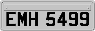 EMH5499