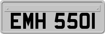 EMH5501