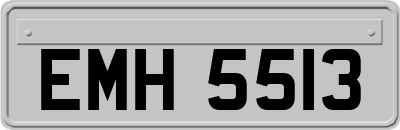 EMH5513