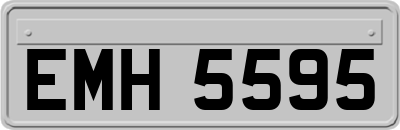 EMH5595