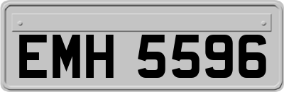 EMH5596