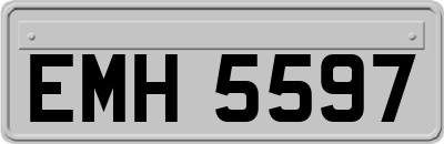 EMH5597