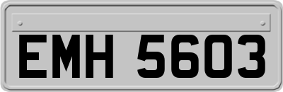 EMH5603