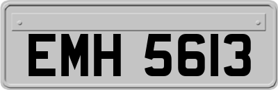EMH5613