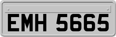 EMH5665