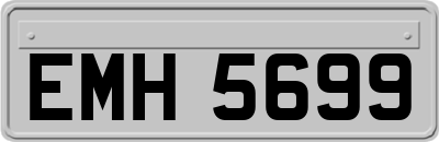 EMH5699