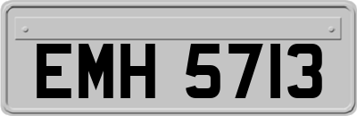 EMH5713