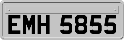 EMH5855