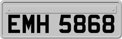 EMH5868
