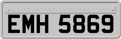 EMH5869